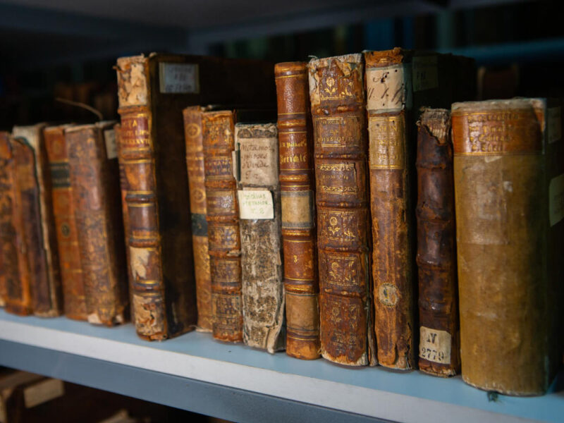 Jakie rodzaje usług ma w ofercie introligator