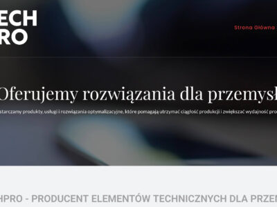 Udźwig kontenera a nośność wózka widłowego — dobór