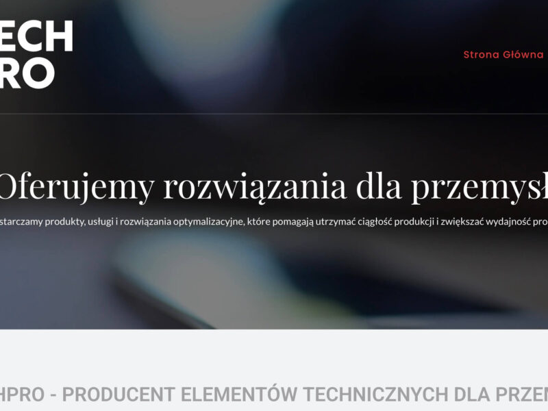 Udźwig kontenera a nośność wózka widłowego — dobór